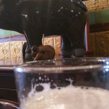 Le Cochon à L'Oreille Minuman