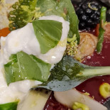 Sauvage Salle à Manger food