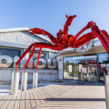 Toinou Les Fruits De Mer Marseille