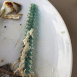 Yard, Cave à Vin Nature Comida