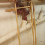 Le 217 Brasserie drink