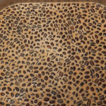 Le Glacier De Notre Dame De Paris Boisson