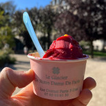 Le Glacier De Notre Dame De Paris Boisson