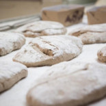 Boulangerie Loiseau Philippe Bebida