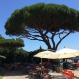 Just'in Café Exterior