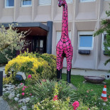 Hôtel Karène Exterior