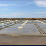 Le Porc Marly Bouchon A Vin