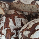 Le Pétrin Saint-lazare Boisson