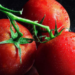 Multi Restauration Services Boisson