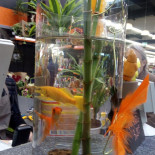 E.leclerc Chinon Bebida