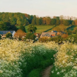 Pizza Oro Extérieur