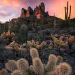 Bacio divino Extérieur