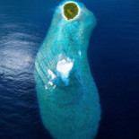 Bacio divino Boisson