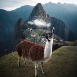 Bacio divino Extérieur