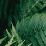 Emmanuelle Vincent La Suite Boisson