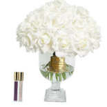 Emmanuelle Vincent La Suite Boisson