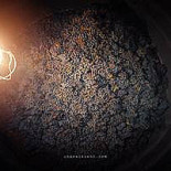 Pierre Et Bertrand Couly Boisson