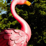 Rosa Bonheur Boisson