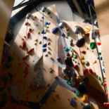 Rosa Bonheur Boisson