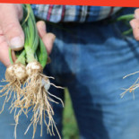 Multi Restauration Services Boisson