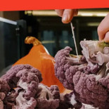 Multi Restauration Services Boisson