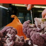 Multi Restauration Services Boisson