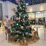 E.leclerc Selestat Zi Nord Exterior