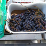 E.leclerc Selestat Zi Nord Bebida