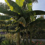 Camping Le Coin Tranquille outside