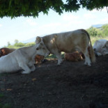 Camping Le Coin Tranquille outside