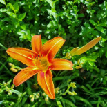 Camping Le Coin Tranquille drink