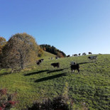 La Ferme De Paul Et Mimi Extérieur