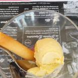 Le Vintage Port Bourgenay Carta