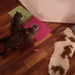 Le Bistrot Du Marin Dentro