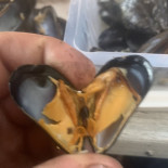 Base De Loisirs De Mansigné Bebida