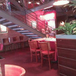 Hippopotamus À l'intérieur