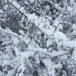 Ferme Auberge La Chaume Des Buis Bebida