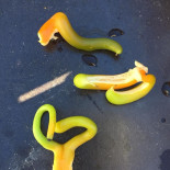 Ferme Auberge La Chaume Des Buis Bebida