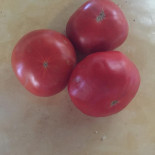 Ferme Auberge La Chaume Des Buis drink