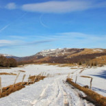 Misko Roselyne Extérieur