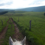 Misko Roselyne Extérieur