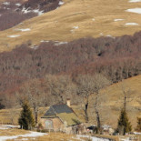 Misko Roselyne Extérieur