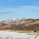 Misko Roselyne Extérieur