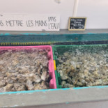 Les Viviers De Térénez Carta