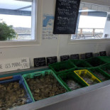 Les Viviers De Térénez Dentro