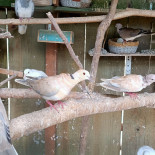 Au Delices Du Canal Exterior