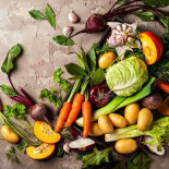 The Season Truck Boisson