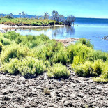 Restaurant le Mejanes Extérieur