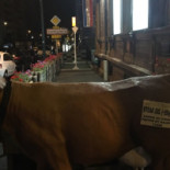 Porte De France Comida