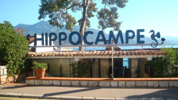 L'hippocampe outside